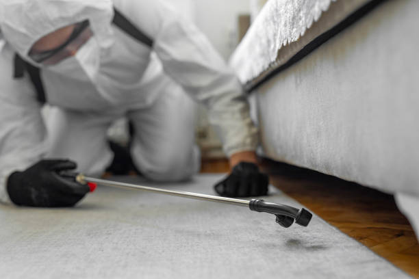 Professional Bed Bug Control technician working in Adams County County, ND